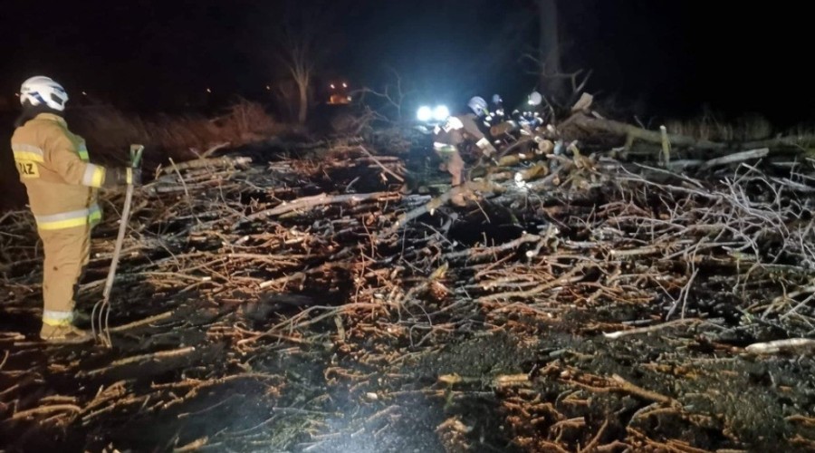 wiatr powalone drzewa powiat nowodworski wichura (6)