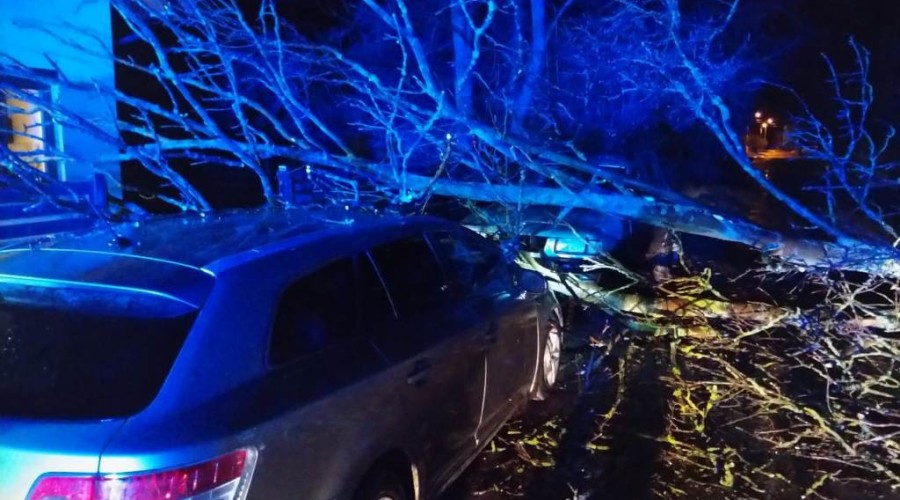 wiatr powalone drzewa powiat nowodworski wichura (7)