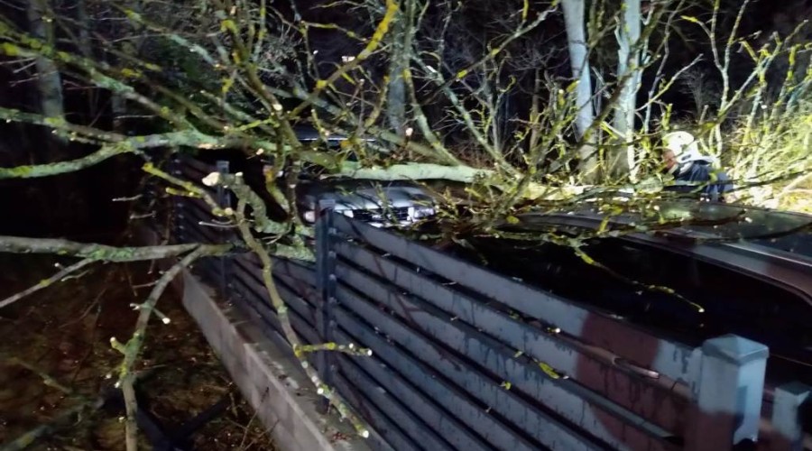 wiatr powalone drzewa powiat nowodworski wichura (8)