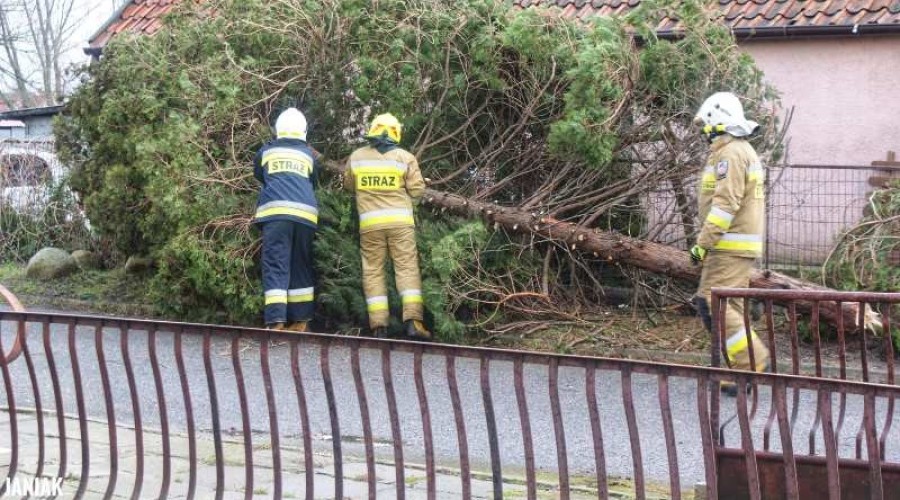 Powiat Nowodworski. Strażacy mieli pełne ręce roboty (11)