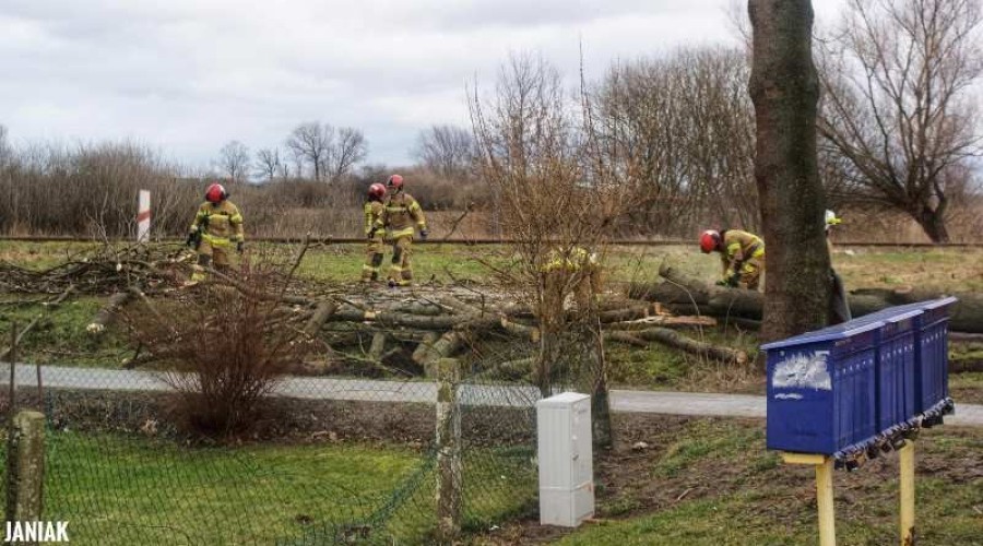 Powiat Nowodworski. Strażacy mieli pełne ręce roboty (8)