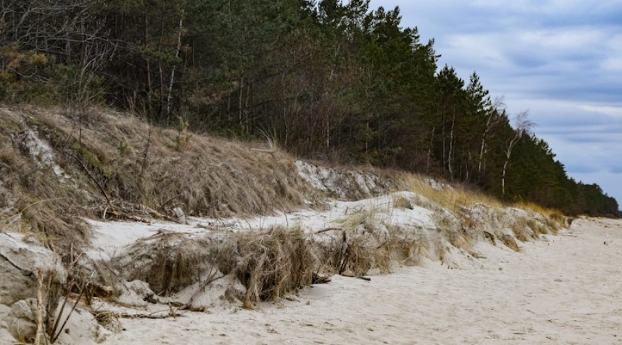 sztutowo plaża (8)_edited