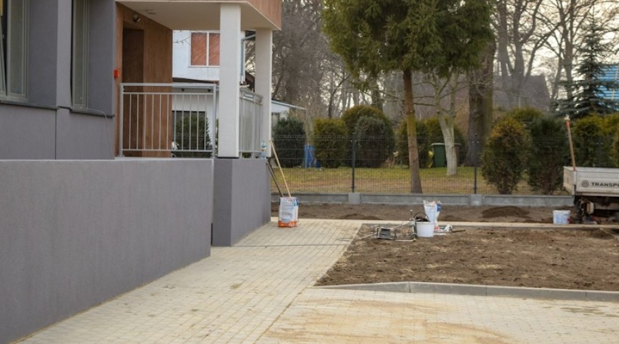 Drewnica szkarpawianka0119