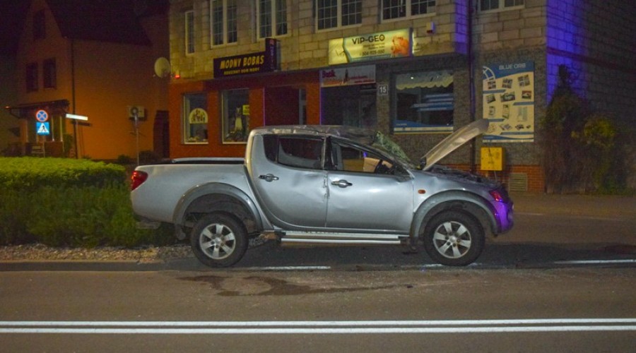 dachowanie nowy dwór gd1_edited