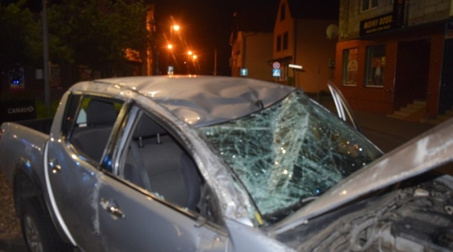 dachowanie nowy dwór gd4