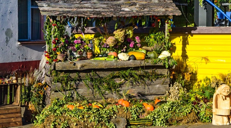 dożynki rybina (49)_edited