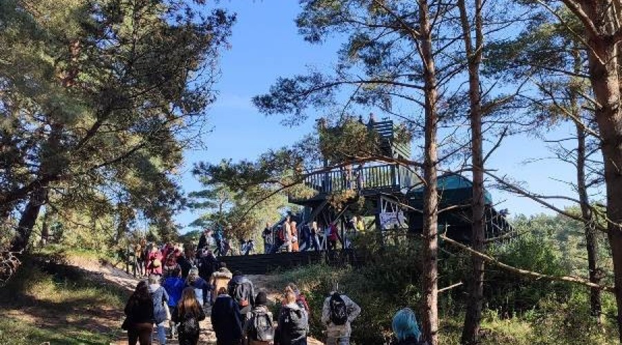 ptasi piknik krynica morska (14)