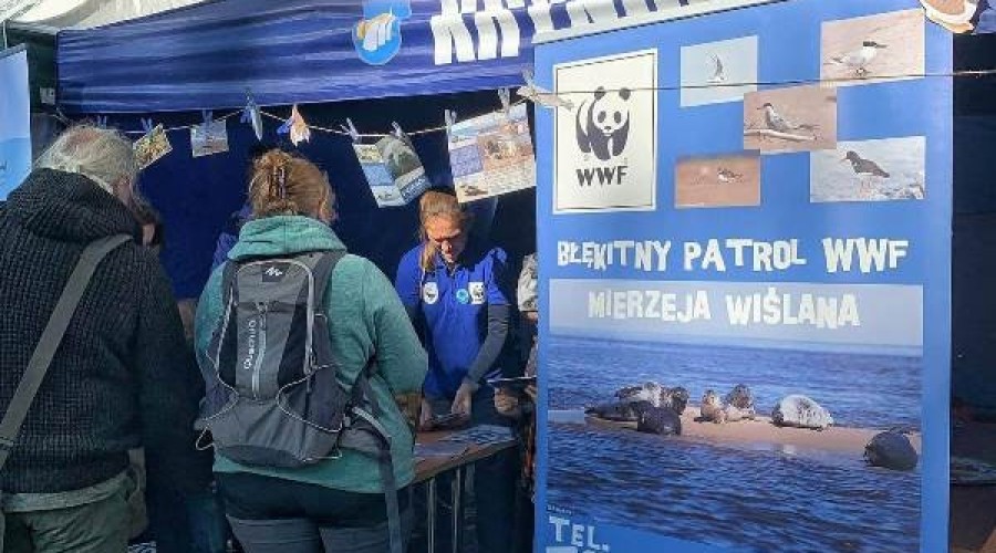 ptasi piknik krynica morska (6)