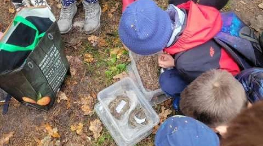 Jantar. Spotkanie uczniów z ornitologami ze stację terenowej Akcji Bałtyckiej.09
