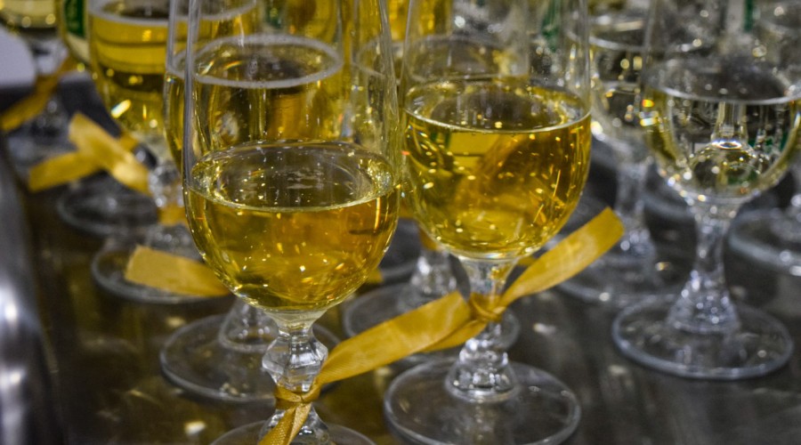 Jubileusz 50 - lecia pożycia małżeńskiego dla 7 par z Gminy Stegn (25)