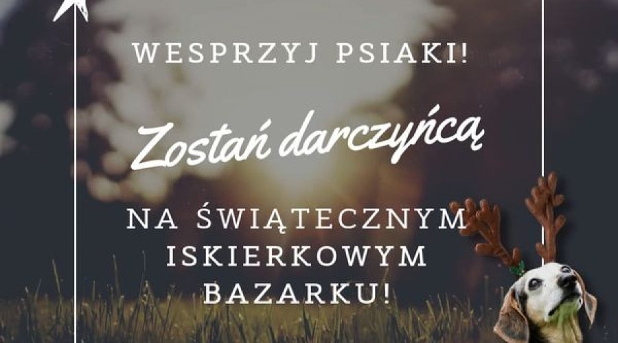iskierka zostan darczynca