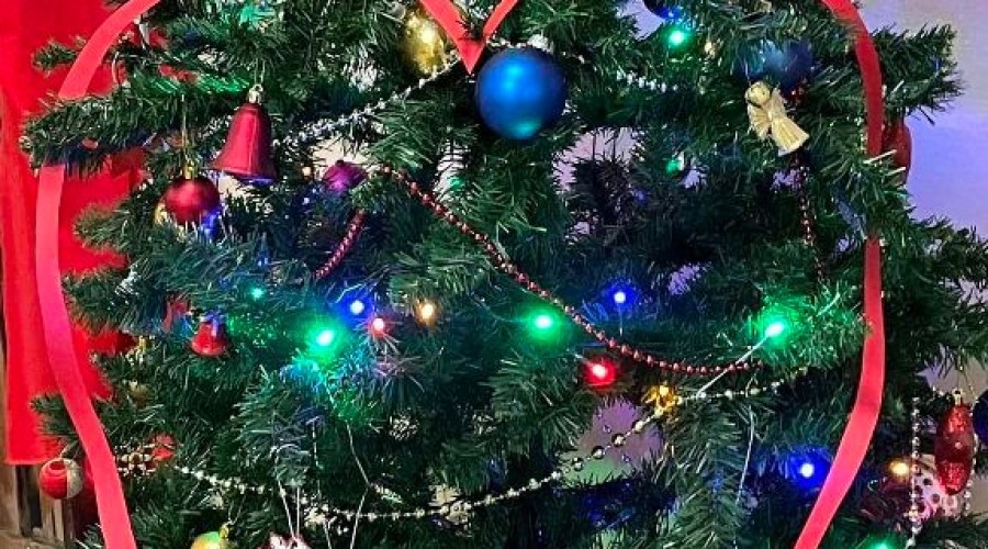 szlachetna paczka nowy dwór gd (27) — kopia