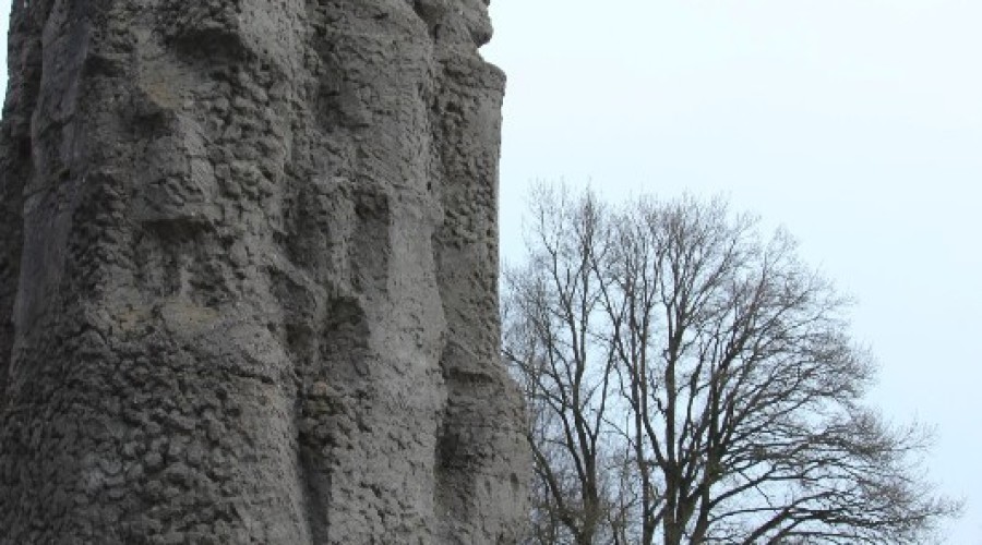 78.rocznica muzeum stutthof (14)