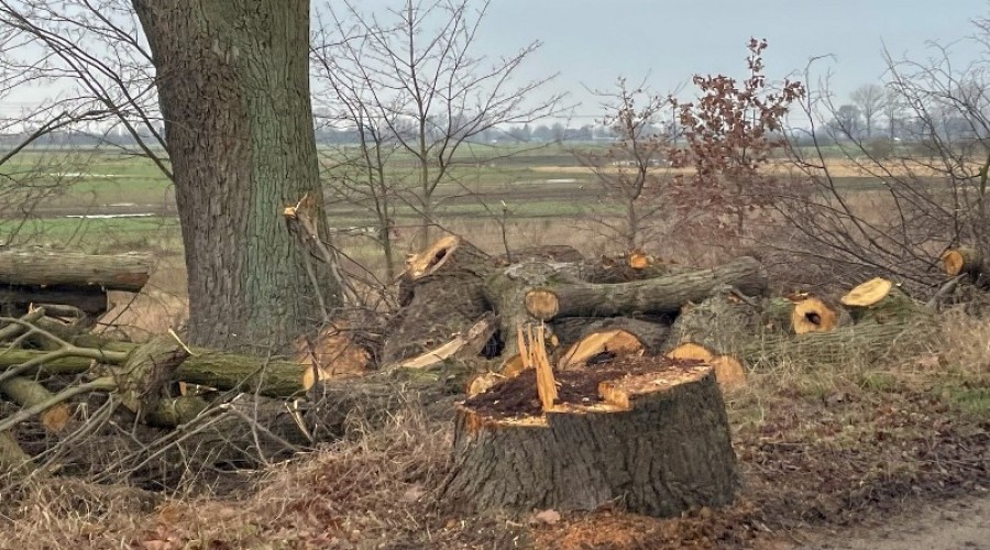 remont drogi 501 mierzeja (7)