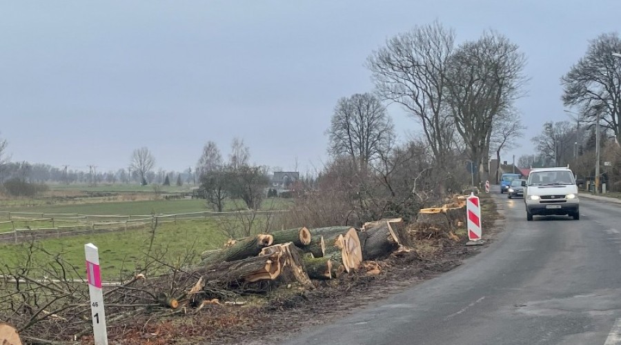 remont drogi 501 mierzeja (9)