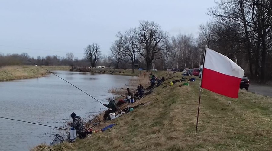 55835891_2290904397628813_7430198722346090496_n