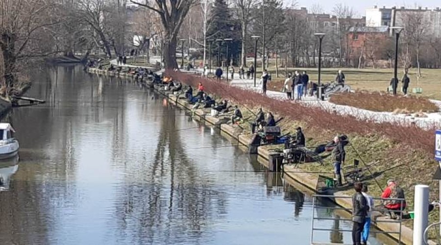 zawody wedkarskie 2023 nowy dwor gd (2)