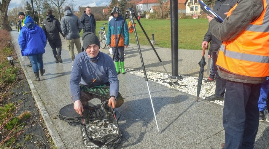 I tura Mistrzostw Koła w wędkarstwie spławikowym z rekordowymi połowami (115)