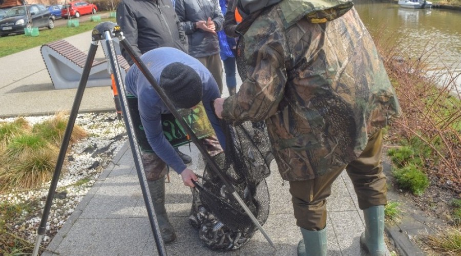 I tura Mistrzostw Koła w wędkarstwie spławikowym z rekordowymi połowami (121)