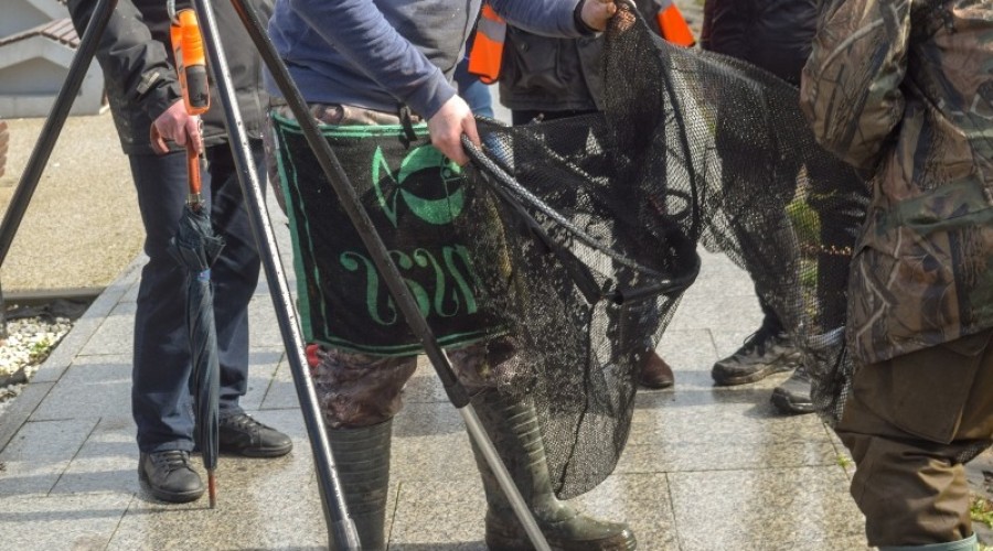 I tura Mistrzostw Koła w wędkarstwie spławikowym z rekordowymi połowami (123)