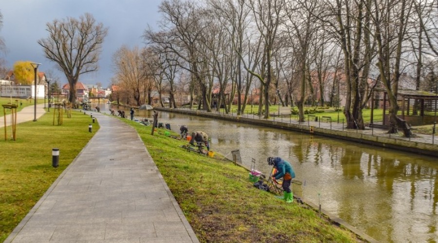 I tura Mistrzostw Koła w wędkarstwie spławikowym z rekordowymi połowami (135)