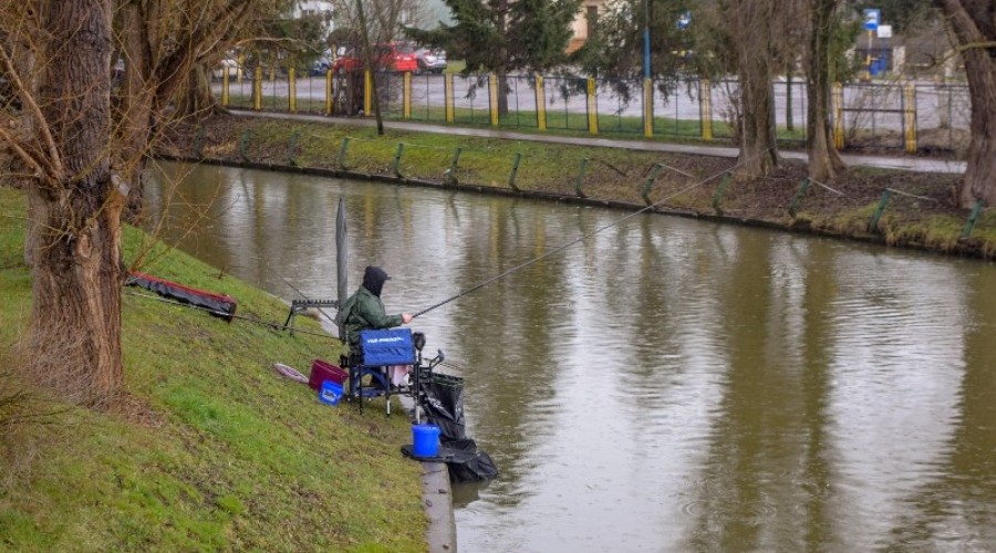 I tura Mistrzostw Koła w wędkarstwie spławikowym z rekordowymi połowami (146)