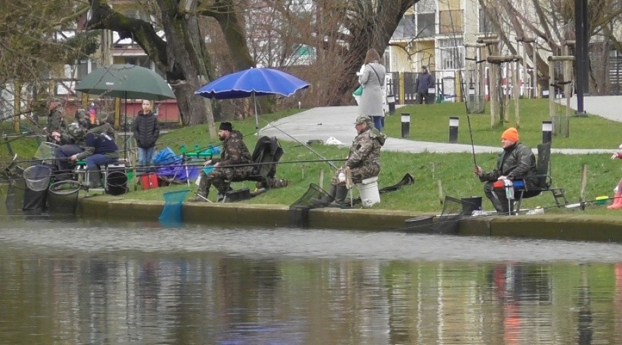 zawody wędkarskie05