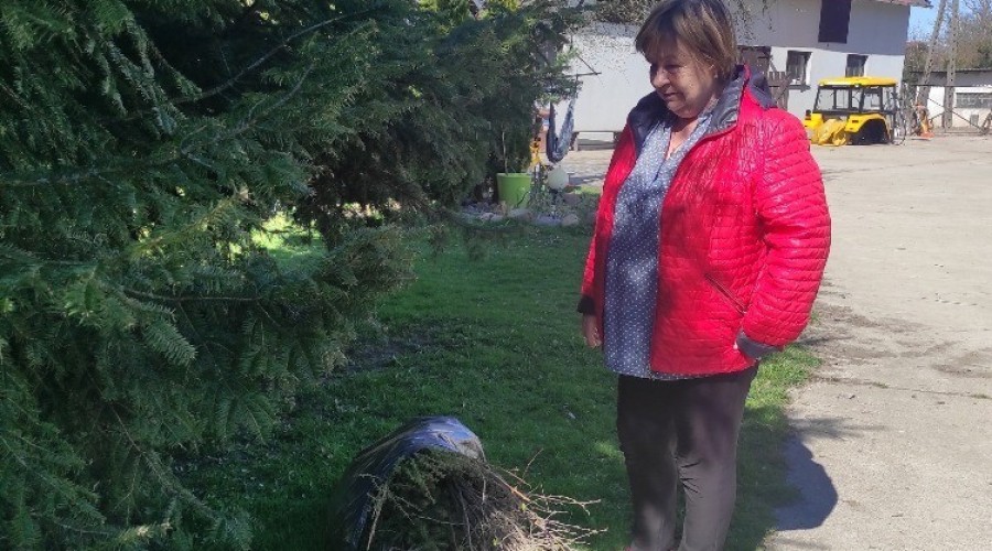 akcja zadrzewieniowa powiat nowodworski15