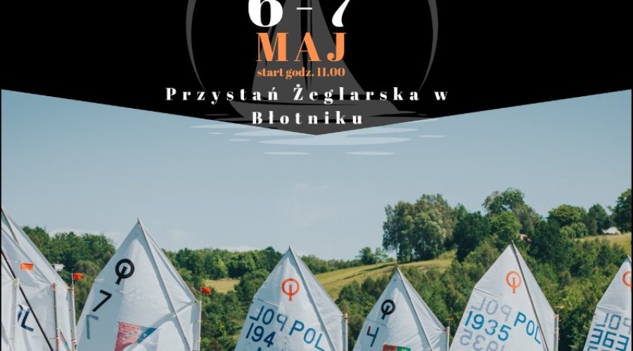 tulipany cedry wielkie (13)