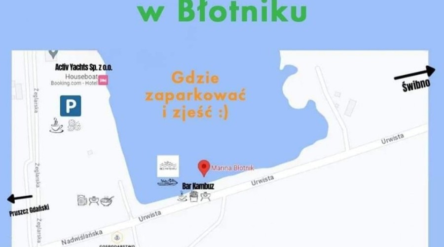 tulipany cedry wielkie (5)