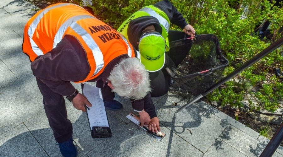 Zawody wędkarskie dla dzieci młodzieży (141)