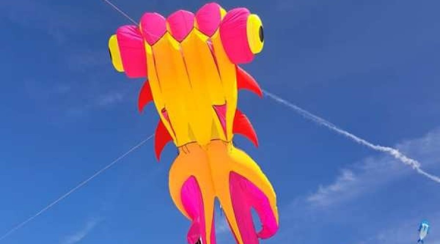 „Kiteweekend” na Mierzei Wiślanej (1)