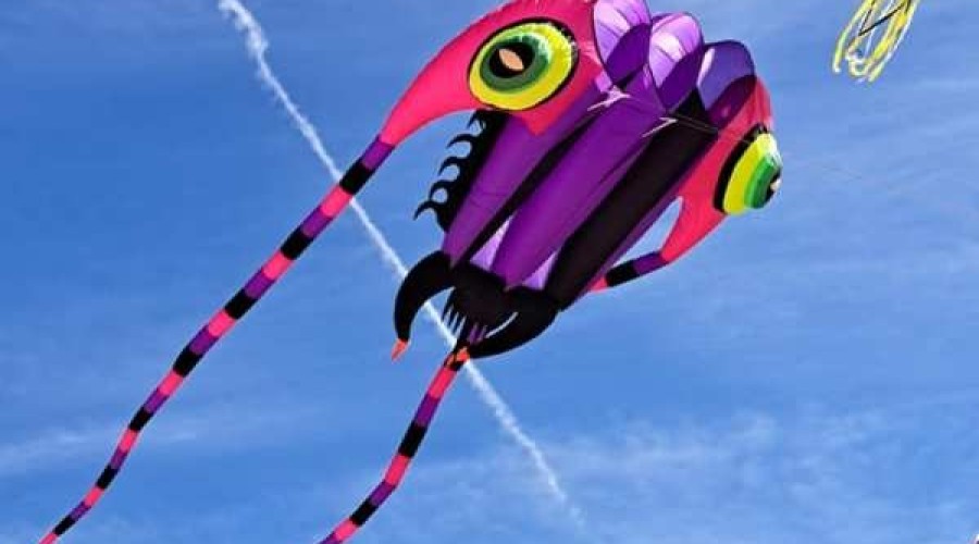 „Kiteweekend” na Mierzei Wiślanej (4)