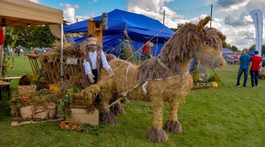 Dożynki Żuławskie Kmiecin 2023 (15)