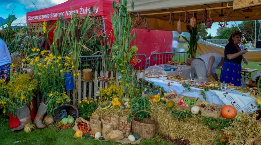 Dożynki Żuławskie Kmiecin 2023 (16)