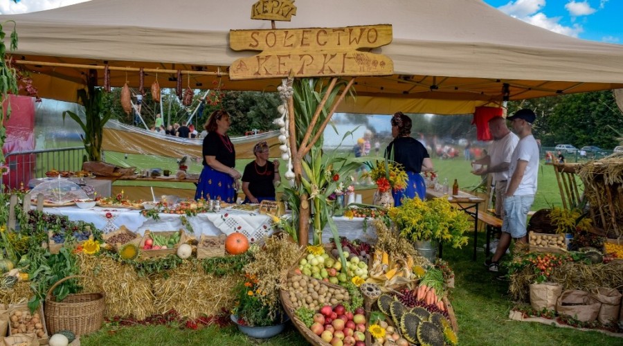 Dożynki Żuławskie Kmiecin 2023 (17)