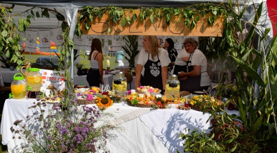 Dożynki Żuławskie Kmiecin 2023 (43)