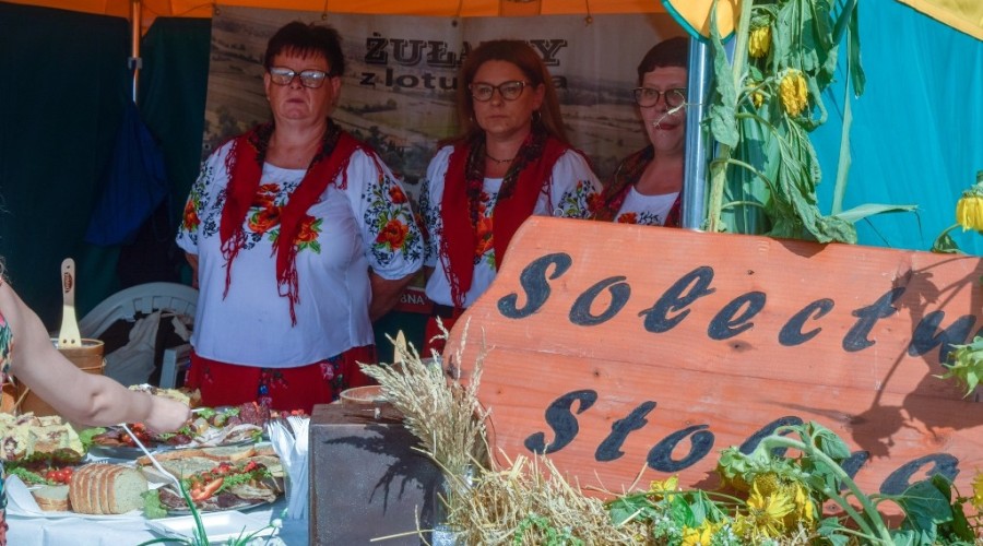 Dożynki Żuławskie Kmiecin 2023 (48)