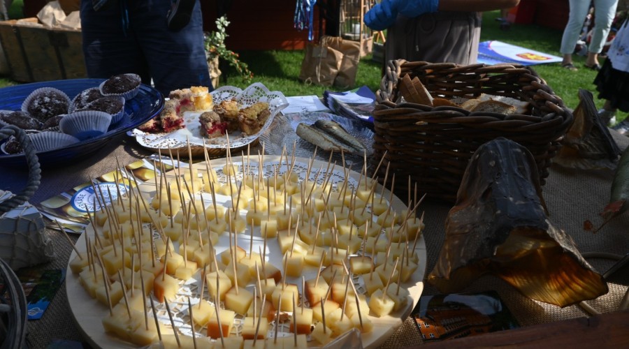 Powiat nowodworski szemud dożynki (21)