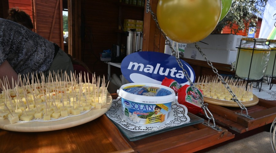 Powiat nowodworski szemud dożynki (26)