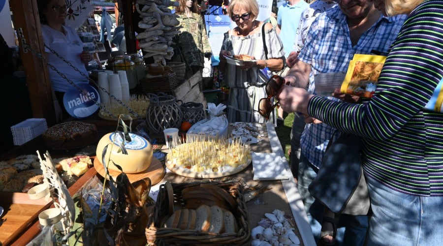 Powiat nowodworski szemud dożynki (3)