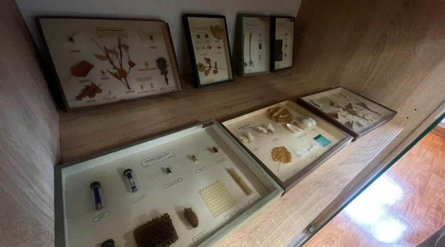 otwarcie ekopracowni w sztutowie (16)