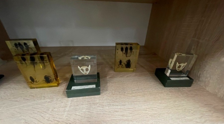 otwarcie ekopracowni w sztutowie (20)