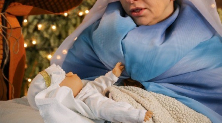 orszak trzech króli stegna (33)