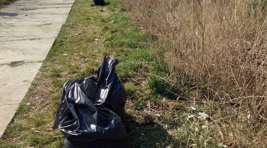 sprzątanie sztutowo (12)