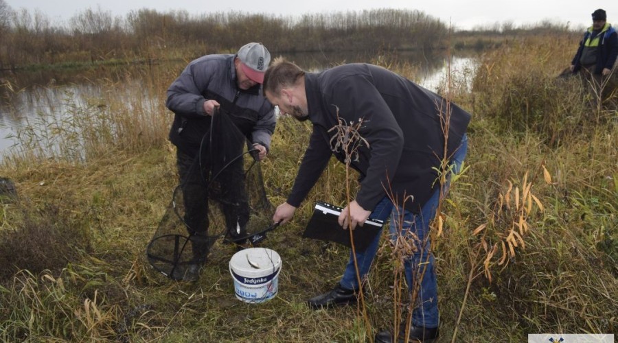 Memoriał Janusza Charlińskiego (24)