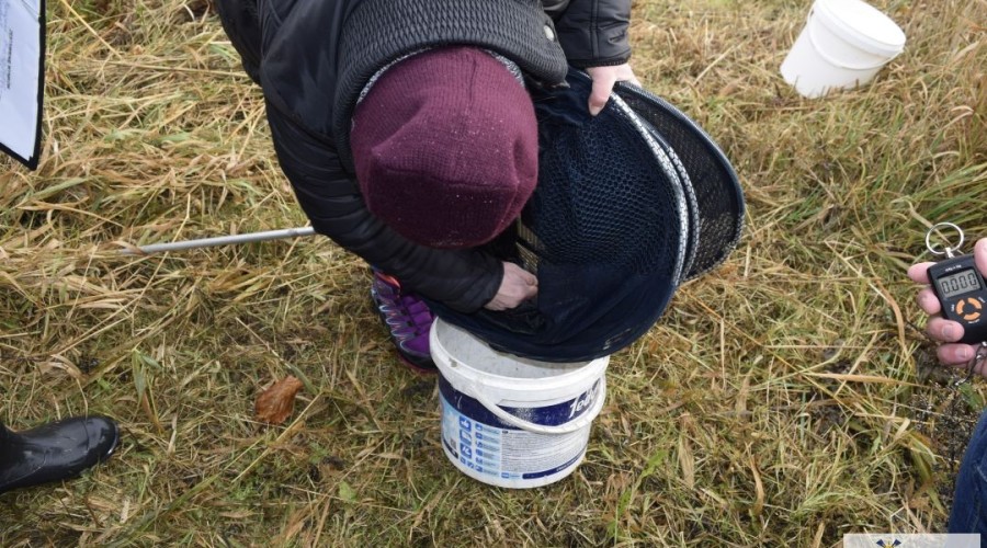 Memoriał Janusza Charlińskiego (29)