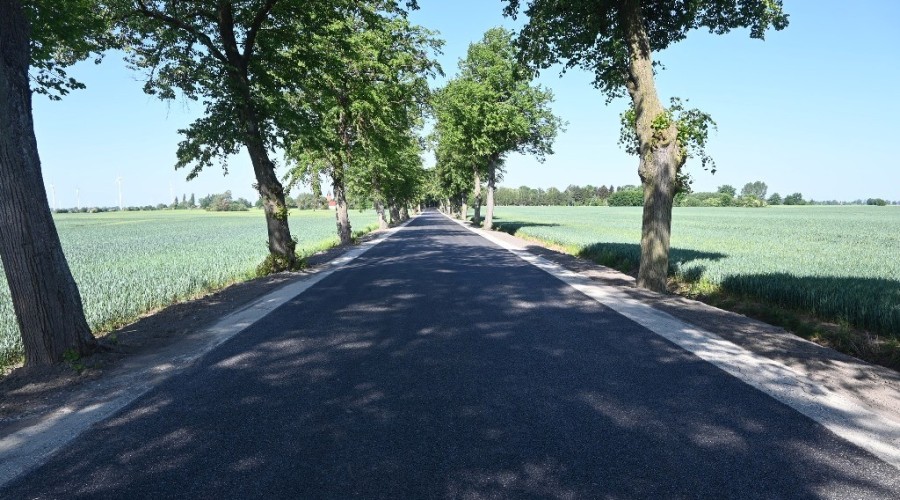 tuja odbior drogi (5)