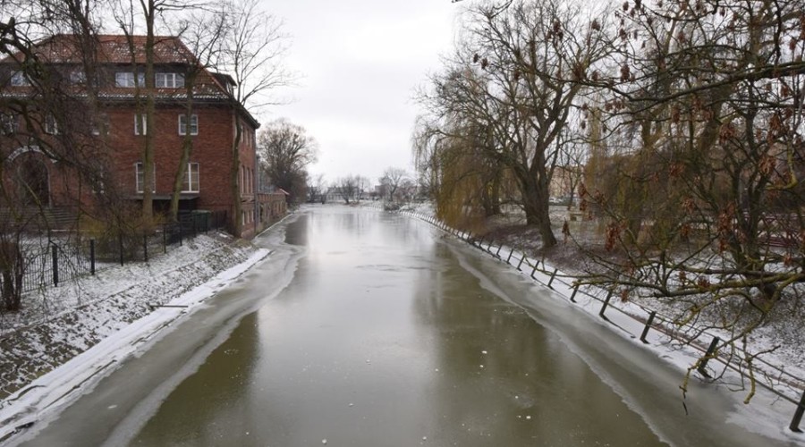 50411474_2161625817501288_6188227981459062784_n