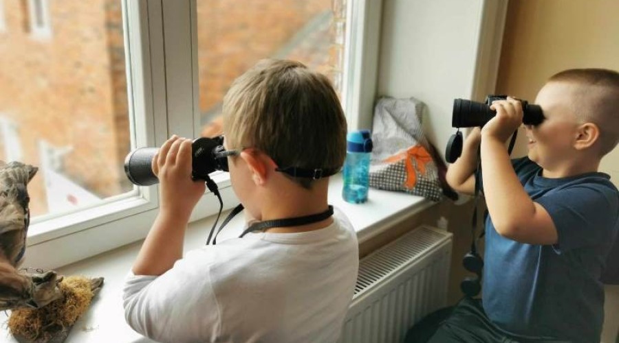 swietlik korczaka nowy dwór gd